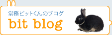 常務ビットくんのブログ
